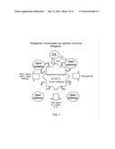 METHOD AND COMPOSITION FOR PRODUCING A CELLULAR ALLOGENEIC VACCINE diagram and image