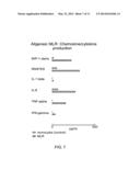 METHOD AND COMPOSITION FOR PRODUCING A CELLULAR ALLOGENEIC VACCINE diagram and image