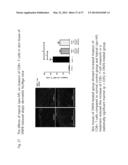 METHOD AND COMPOSITION FOR IMPROVING SKIN CONDITIONS COMPRISING HUMAN     PLACENTAL LACTOGEN AS AN ACTIVE INGREDIENT diagram and image