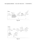 DRUG DISCOVERY METHODS diagram and image