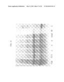 BAKED FOOD COMPOSITIONS COMPRISING SOY WHEY PROTEINS THAT HAVE BEEN     ISOLATED FROM PROCESSING STREAMS diagram and image