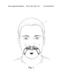 TEMPORARY TATTOO FACIAL HAIR diagram and image