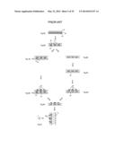 OPEN PERFORATED MATERIAL AND METHOD OF IMAGING TO FORM A VISION CONTROL     PANEL diagram and image