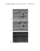 OPEN PERFORATED MATERIAL AND METHOD OF IMAGING TO FORM A VISION CONTROL     PANEL diagram and image