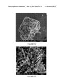 METHOD FOR PRODUCING SOLID CARBON BY REDUCING CARBON OXIDES diagram and image