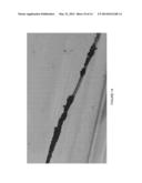 METHOD FOR PRODUCING SOLID CARBON BY REDUCING CARBON OXIDES diagram and image