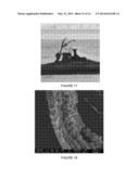 METHOD FOR PRODUCING SOLID CARBON BY REDUCING CARBON OXIDES diagram and image