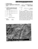 Methods of Making Single-Layer Lithium Ion Battery Separators Having     Nanofiber and Microfiber Components diagram and image