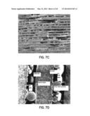 SOLID OXIDE FUEL CELL DEVICE diagram and image