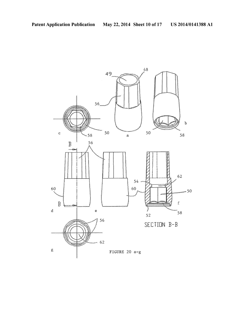 Dental Implant and Method of Implantation - diagram, schematic, and image 11