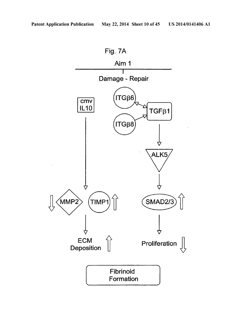 BIOMARKERS FOR PRENATAL DIAGNOSIS OF CONGENITAL CYTOMEGALOVIRUS - diagram, schematic, and image 11