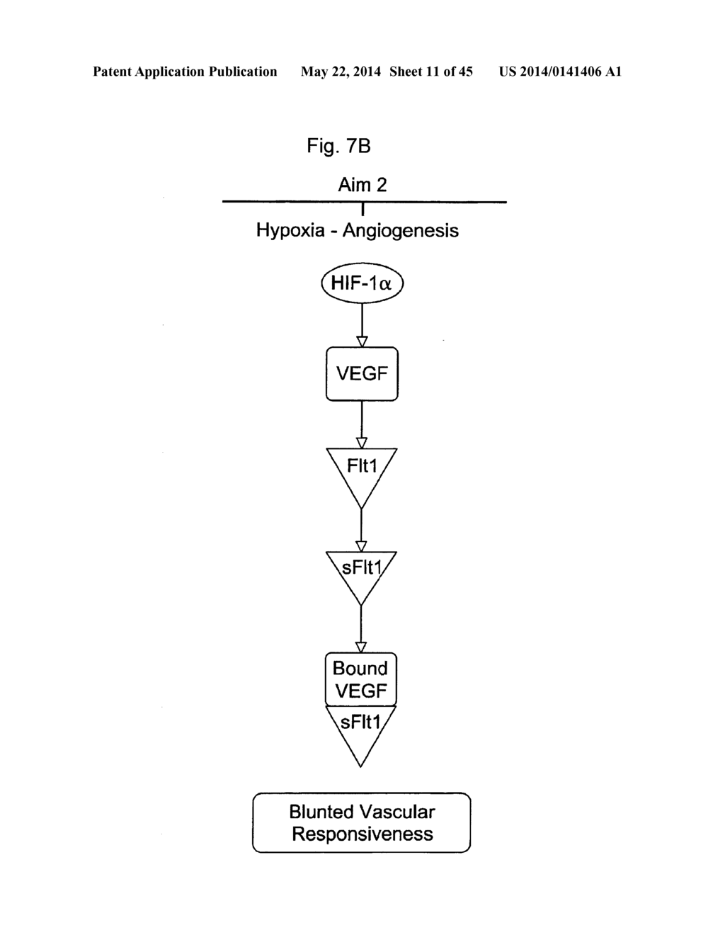 BIOMARKERS FOR PRENATAL DIAGNOSIS OF CONGENITAL CYTOMEGALOVIRUS - diagram, schematic, and image 12