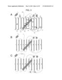 NUCLEIC ACID ENCODING A SELF-ASSEMBLING SPLIT-FLUORESCENT PROTEIN SYSTEM diagram and image