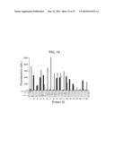 NUCLEIC ACID ENCODING A SELF-ASSEMBLING SPLIT-FLUORESCENT PROTEIN SYSTEM diagram and image