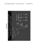 SINGLE TUBE QUANTITATIVE POLYMERASE CHAIN REACTION (PCR) diagram and image