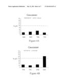 METHODS OF IDENTIFYING INDIVIDUALS AT RISK OF PERIOPERATIVE BLEEDING,     RENAL DYSFUNCTION OR STROKE diagram and image