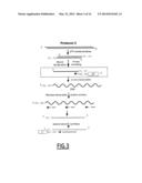 LINEAR DNA AMPLIFICATION diagram and image