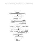 LINEAR DNA AMPLIFICATION diagram and image