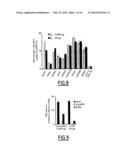 LINEAR DNA AMPLIFICATION diagram and image