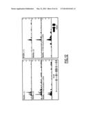 LINEAR DNA AMPLIFICATION diagram and image