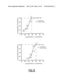 LINEAR DNA AMPLIFICATION diagram and image