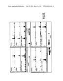 LINEAR DNA AMPLIFICATION diagram and image