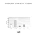 LINEAR DNA AMPLIFICATION diagram and image