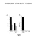 LINEAR DNA AMPLIFICATION diagram and image