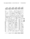 NOVEL 2,5-DIKETO-L-GLUCONIC ACID REDUCTASES AND METHODS OF USE diagram and image