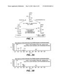 NOVEL 2,5-DIKETO-L-GLUCONIC ACID REDUCTASES AND METHODS OF USE diagram and image
