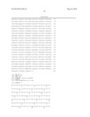 NOVEL 2,5-DIKETO-L-GLUCONIC ACID REDUCTASES AND METHODS OF USE diagram and image