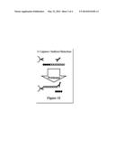 Assays for Detecting Enzymatic Activity diagram and image