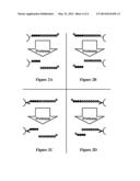 Assays for Detecting Enzymatic Activity diagram and image