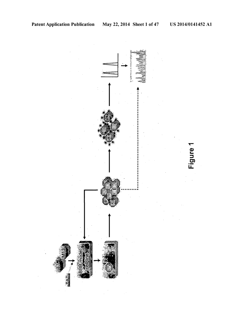 Method of Determining, Identifying or Isolating Cell-Penetrating Peptides - diagram, schematic, and image 02