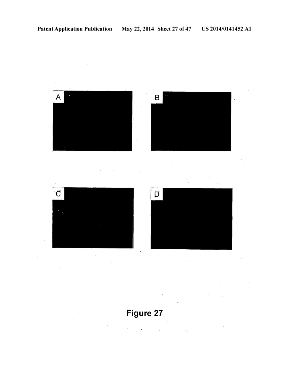 Method of Determining, Identifying or Isolating Cell-Penetrating Peptides - diagram, schematic, and image 28