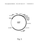 Methods For Degrading or Converting Plant Cell Wall Polysaccharides diagram and image