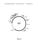 Methods For Degrading or Converting Plant Cell Wall Polysaccharides diagram and image