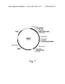 Methods For Degrading or Converting Plant Cell Wall Polysaccharides diagram and image