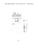 YEAST CELL CAPABLE OF CONVERTING SUGARS INCLUDING ARABINOSE AND XLOSE diagram and image