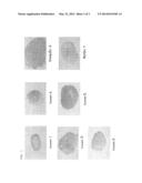 STEM CELL SEPARATING MATERIAL AND METHOD OF SEPARATION diagram and image