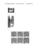 STEM CELL SEPARATING MATERIAL AND METHOD OF SEPARATION diagram and image