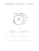 Vectors, Host Cells, and Methods of Production and Uses diagram and image