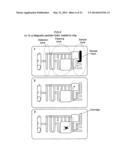 METHOD AND DEVICE FOR BIOMOLECULE PREPARATION AND DETECTION USING MAGNETIC     ARRAY diagram and image