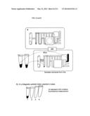 METHOD AND DEVICE FOR BIOMOLECULE PREPARATION AND DETECTION USING MAGNETIC     ARRAY diagram and image