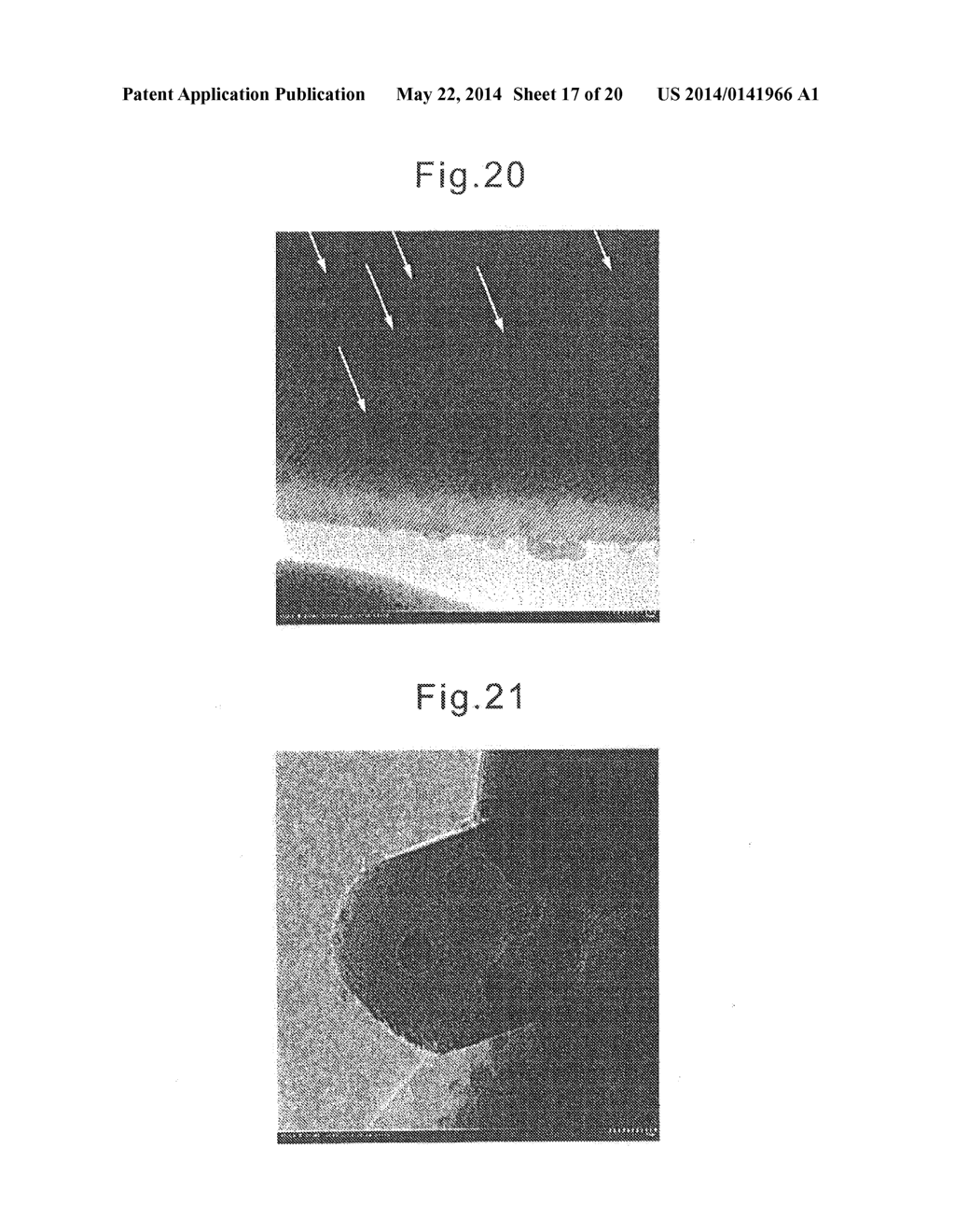 EXHAUST GAS PURIFYING CATALYST AND PRODUCTION PROCESS THEREOF - diagram, schematic, and image 18