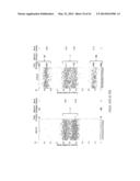 HIGHLY MULTIPLEX PCR METHODS AND COMPOSITIONS diagram and image