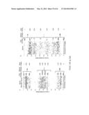 HIGHLY MULTIPLEX PCR METHODS AND COMPOSITIONS diagram and image