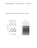 HIGH THROUGHPUT DETECTION OF FUSION PROTEINS diagram and image