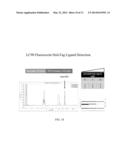 HIGH THROUGHPUT DETECTION OF FUSION PROTEINS diagram and image