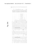 Protein Scaffolds diagram and image